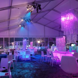 classic-tents-events_party-wedding-film-festival-retail-rentals_atlanta-ga-southeast-076
