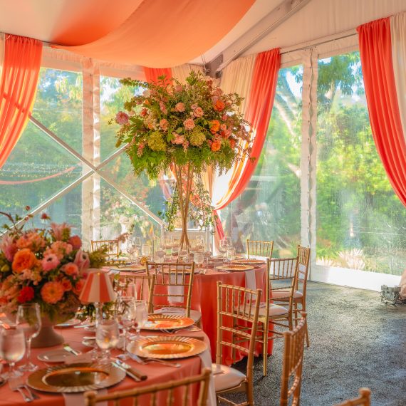 20250921 Garden of Eden Ball