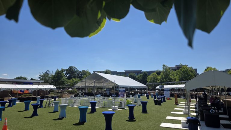 Outdoor event lawn with frame tents and blue-linen cocktail tables on a sunny day